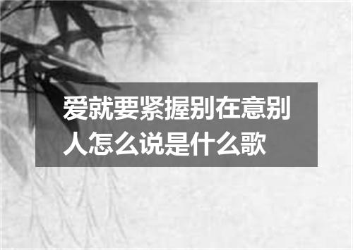 爱就要紧握别在意别人怎么说是什么歌