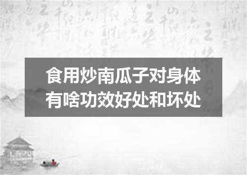 食用炒南瓜子对身体有啥功效好处和坏处