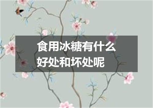 食用冰糖有什么好处和坏处呢