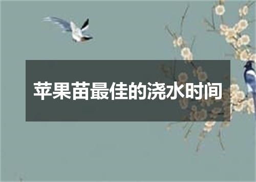 苹果苗最佳的浇水时间
