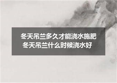 冬天吊兰多久才能浇水施肥 冬天吊兰什么时候浇水好