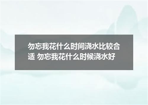 勿忘我花什么时间浇水比较合适 勿忘我花什么时候浇水好