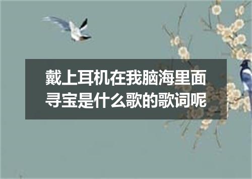 戴上耳机在我脑海里面寻宝是什么歌的歌词呢