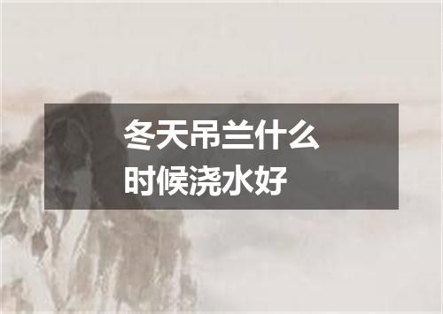 冬天吊兰什么时候浇水好
