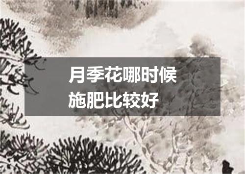 月季花哪时候施肥比较好