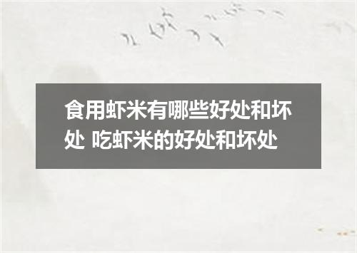 食用虾米有哪些好处和坏处 吃虾米的好处和坏处