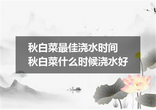 秋白菜最佳浇水时间 秋白菜什么时候浇水好