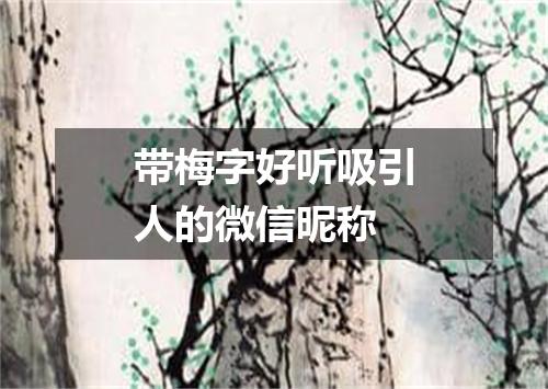 带梅字好听吸引人的微信昵称