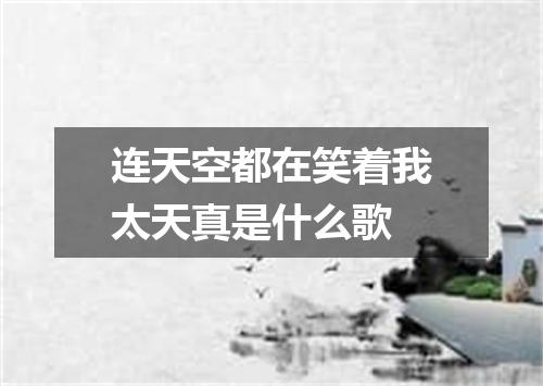连天空都在笑着我太天真是什么歌