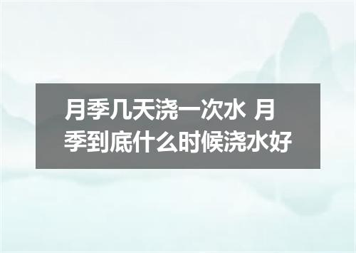 月季几天浇一次水 月季到底什么时候浇水好