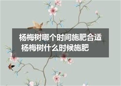 杨梅树哪个时间施肥合适 杨梅树什么时候施肥