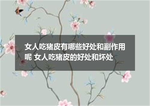 女人吃猪皮有哪些好处和副作用呢 女人吃猪皮的好处和坏处