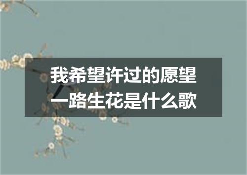 我希望许过的愿望一路生花是什么歌