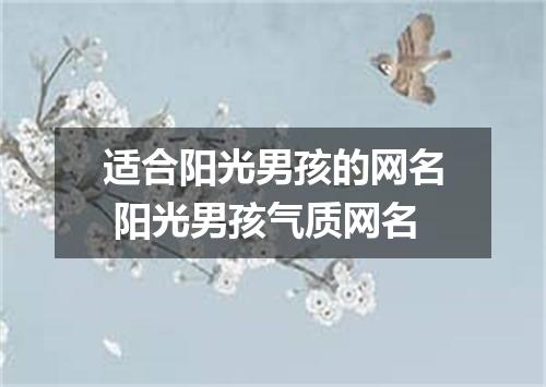 适合阳光男孩的网名 阳光男孩气质网名