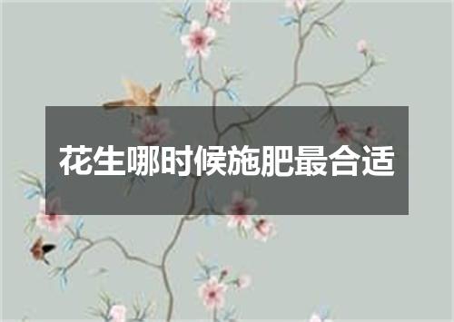 花生哪时候施肥最合适