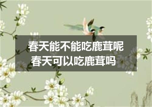 春天能不能吃鹿茸呢 春天可以吃鹿茸吗