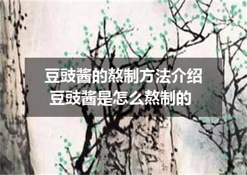 豆豉酱的熬制方法介绍 豆豉酱是怎么熬制的