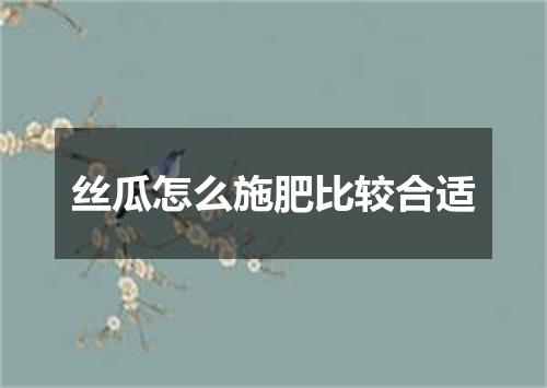 丝瓜怎么施肥比较合适