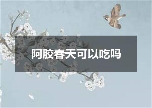 阿胶春天可以吃吗