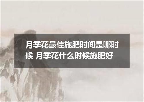 月季花最佳施肥时间是哪时候 月季花什么时候施肥好