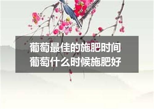 葡萄最佳的施肥时间 葡萄什么时候施肥好