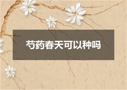 芍药春天可以种吗