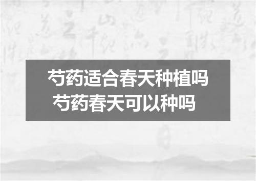 芍药适合春天种植吗 芍药春天可以种吗