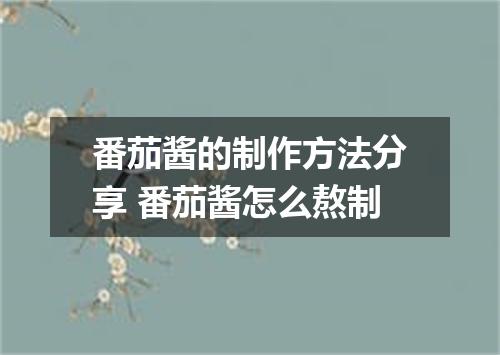 番茄酱的制作方法分享 番茄酱怎么熬制