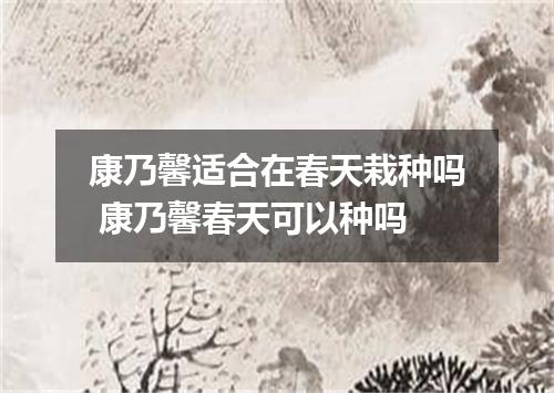 康乃馨适合在春天栽种吗 康乃馨春天可以种吗