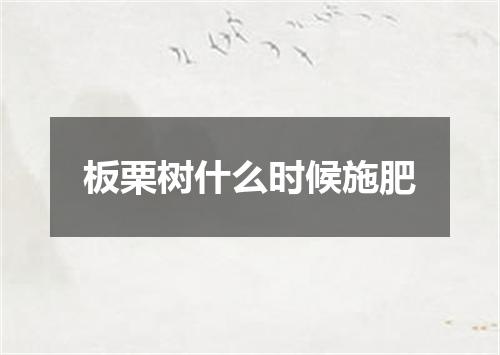 板栗树什么时候施肥