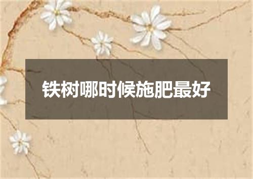 铁树哪时候施肥最好