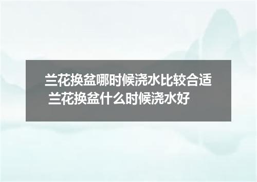 兰花换盆哪时候浇水比较合适 兰花换盆什么时候浇水好