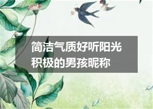 简洁气质好听阳光积极的男孩昵称