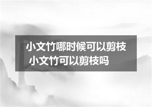 小文竹哪时候可以剪枝 小文竹可以剪枝吗