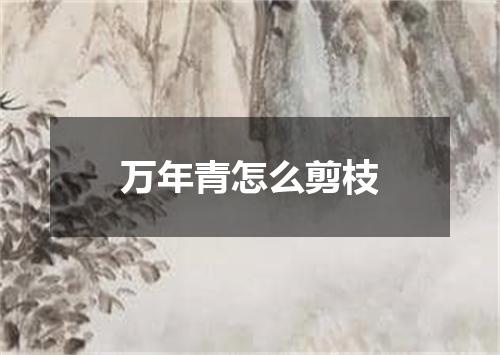 万年青怎么剪枝