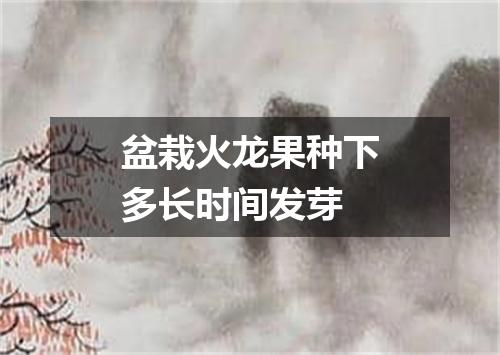 盆栽火龙果种下多长时间发芽