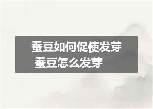 蚕豆如何促使发芽 蚕豆怎么发芽