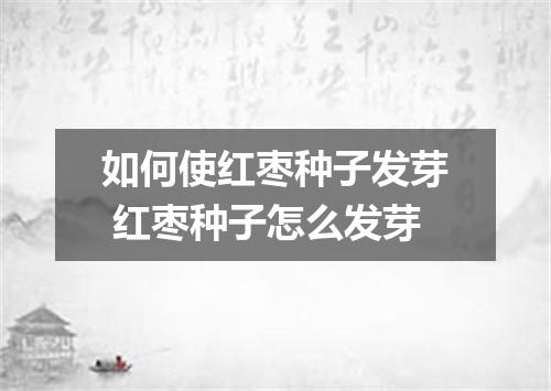 如何使红枣种子发芽 红枣种子怎么发芽