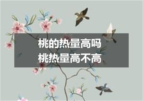 桃的热量高吗 桃热量高不高