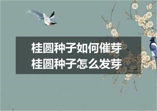 桂圆种子如何催芽 桂圆种子怎么发芽
