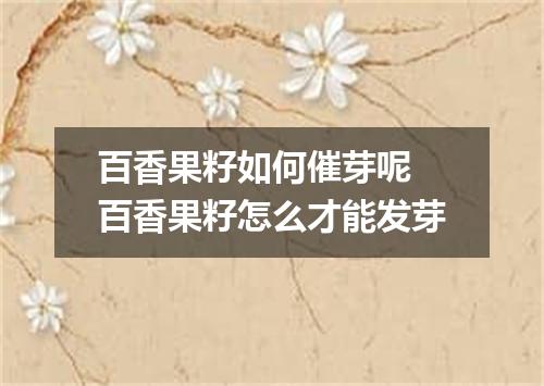 百香果籽如何催芽呢 百香果籽怎么才能发芽