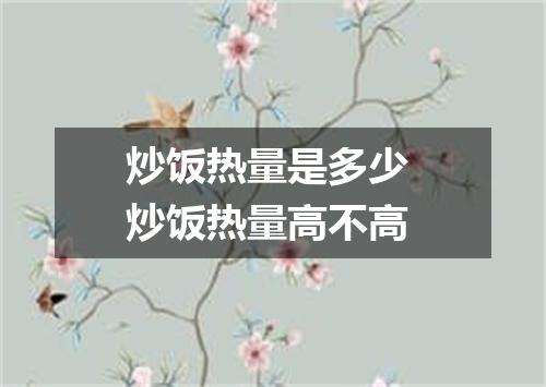 炒饭热量是多少 炒饭热量高不高