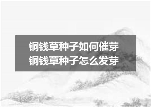 铜钱草种子如何催芽 铜钱草种子怎么发芽