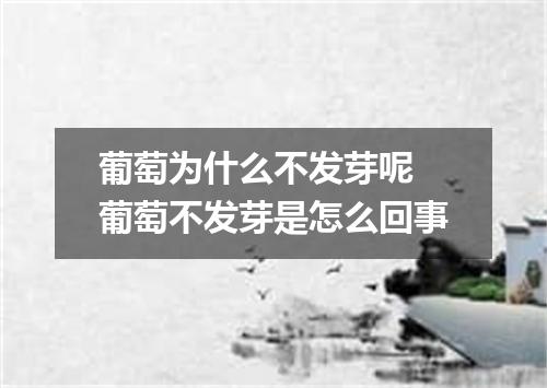 葡萄为什么不发芽呢 葡萄不发芽是怎么回事