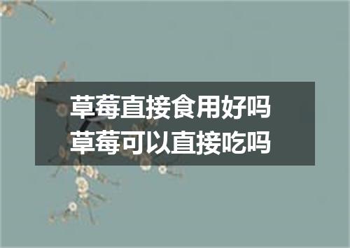 草莓直接食用好吗 草莓可以直接吃吗
