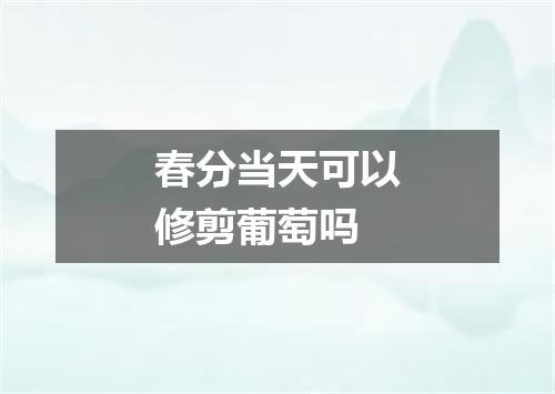 春分当天可以修剪葡萄吗