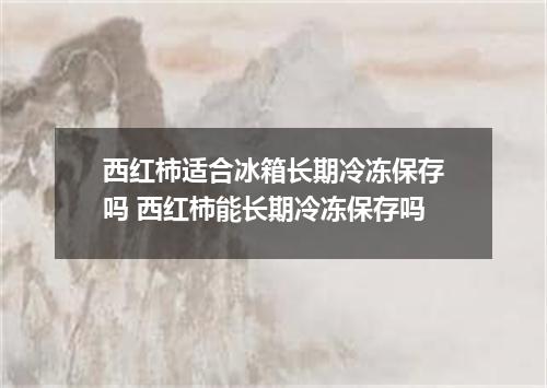 西红柿适合冰箱长期冷冻保存吗 西红柿能长期冷冻保存吗