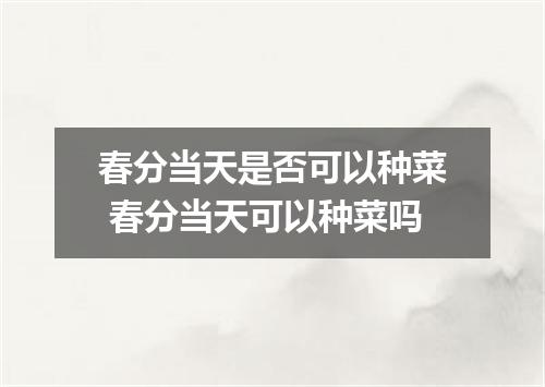 春分当天是否可以种菜 春分当天可以种菜吗