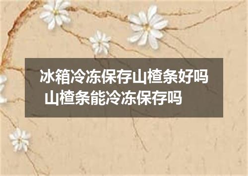 冰箱冷冻保存山楂条好吗 山楂条能冷冻保存吗