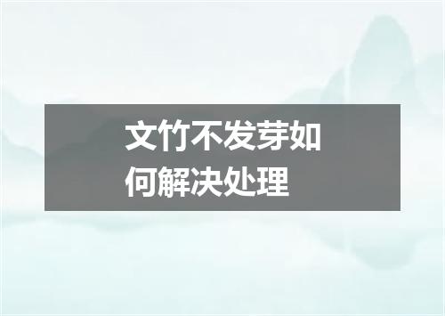 文竹不发芽如何解决处理